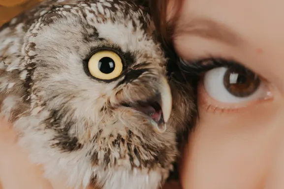 PlayHub Casino Suporte